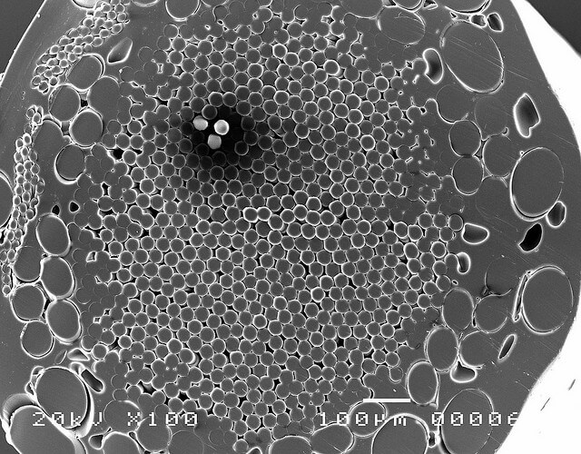 Tennis String Under An Electron Microscope